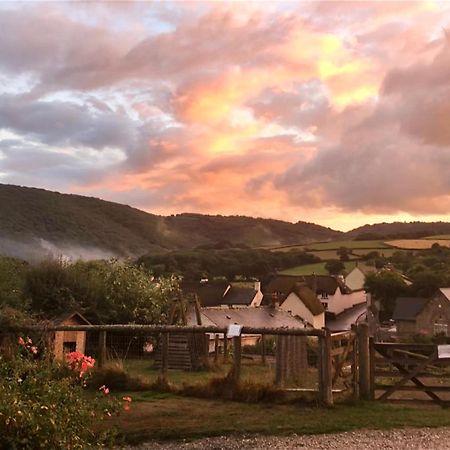 The Royal Oak Inn Dunsford Exteriör bild