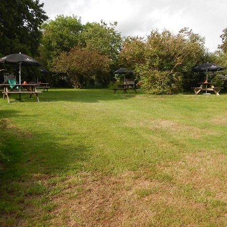 The Royal Oak Inn Dunsford Exteriör bild