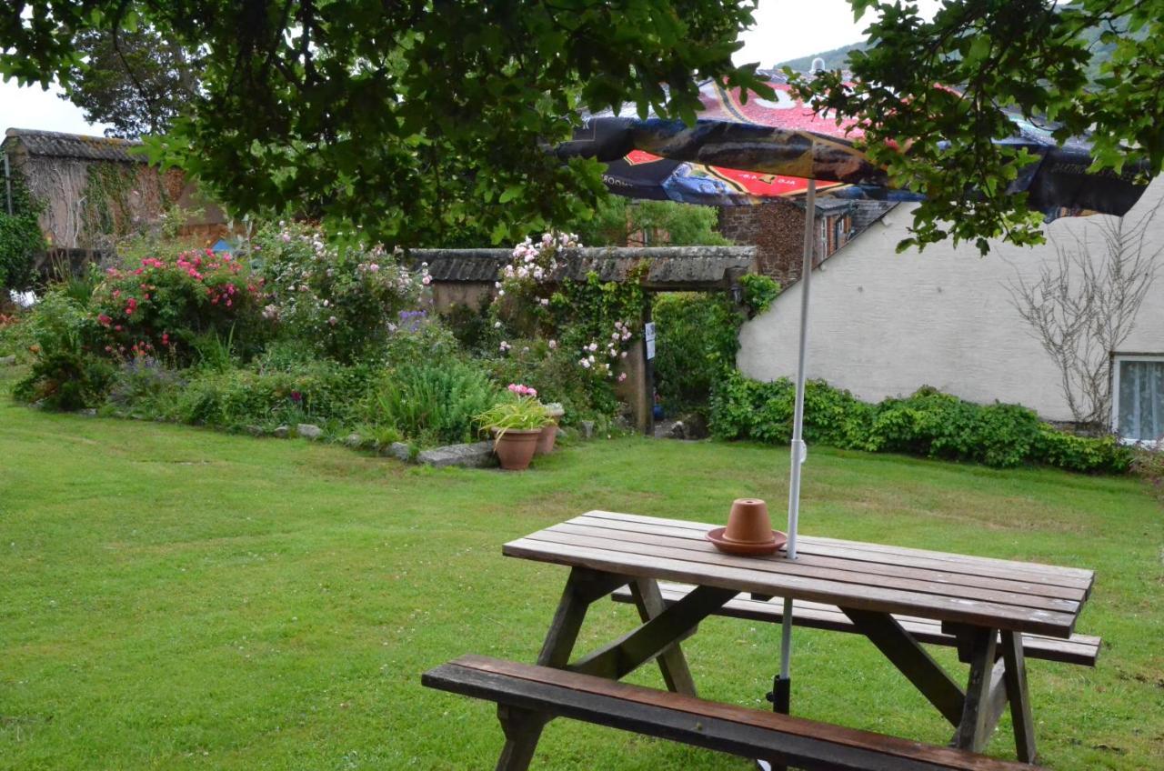 The Royal Oak Inn Dunsford Exteriör bild