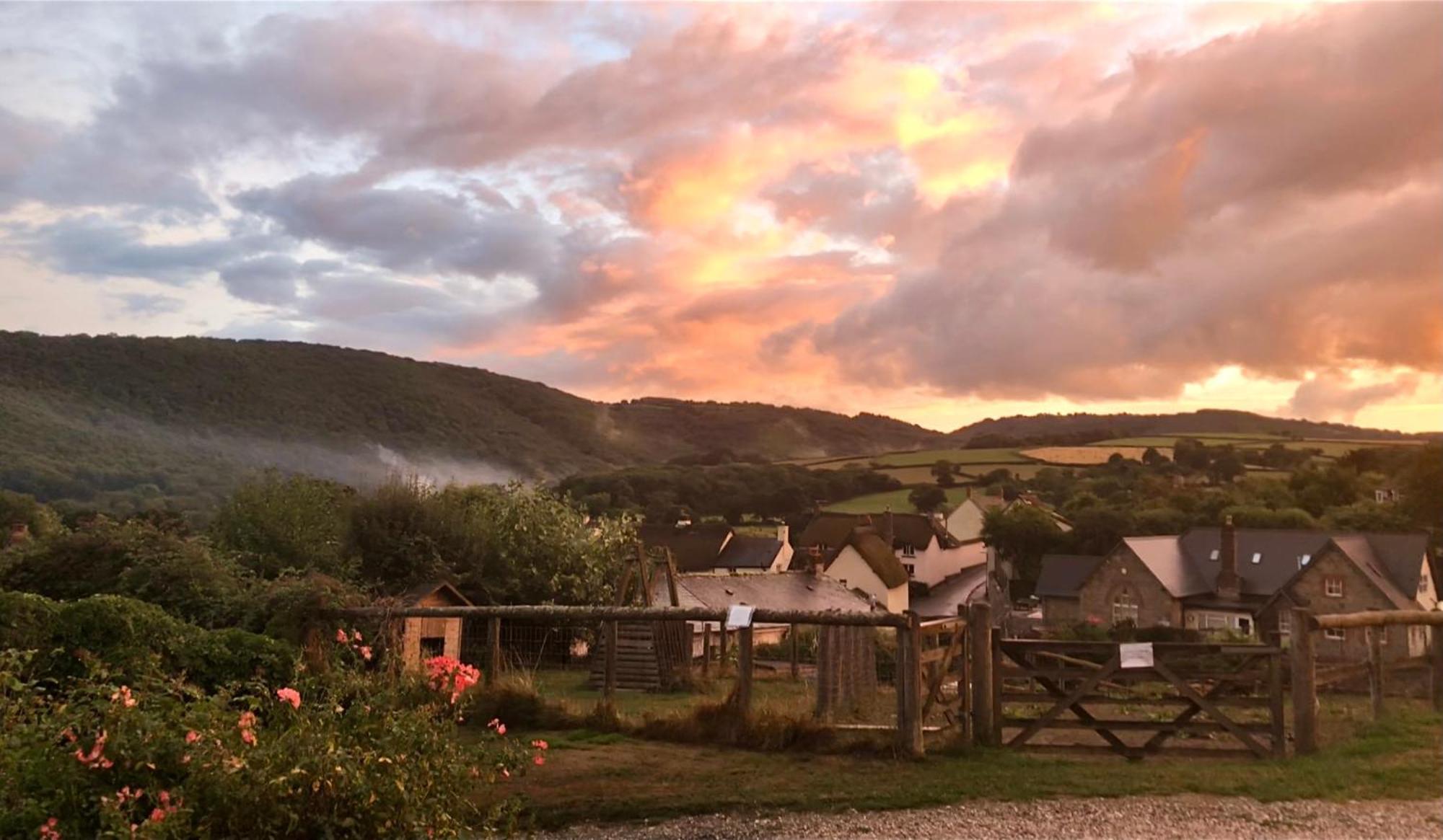 The Royal Oak Inn Dunsford Exteriör bild