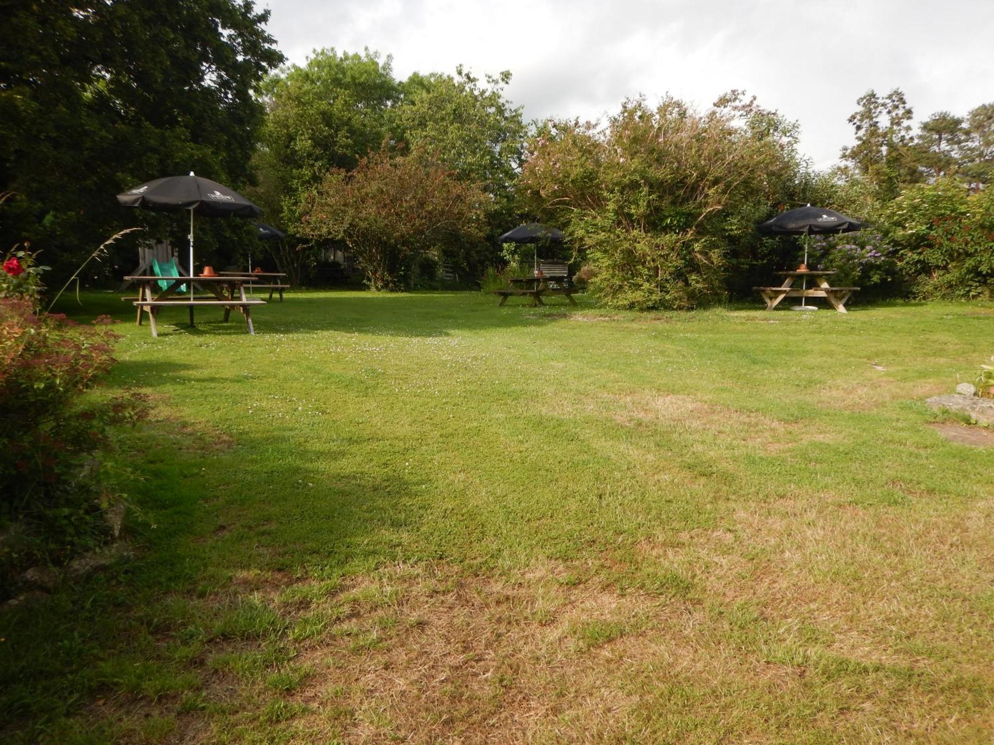 The Royal Oak Inn Dunsford Exteriör bild
